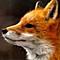 lazyfox